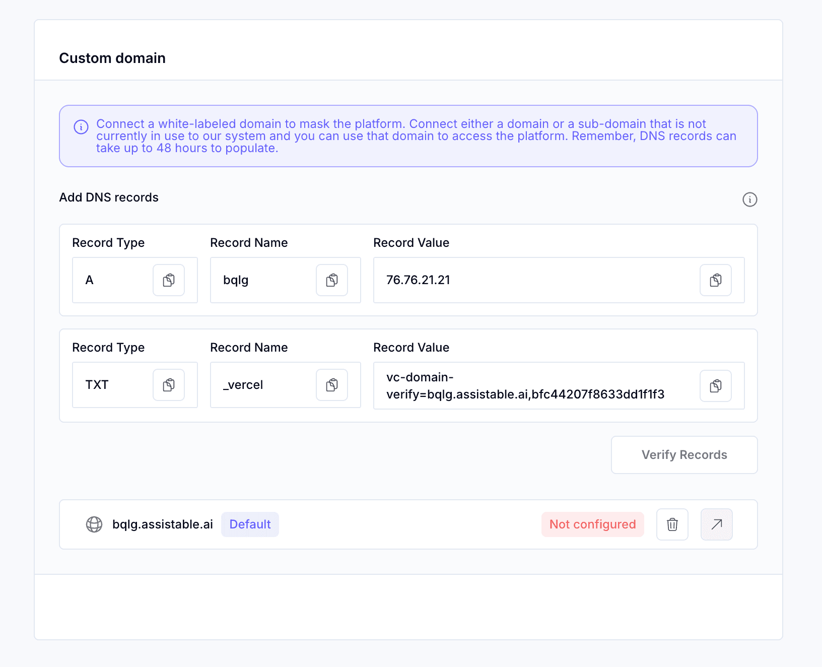 Custom domain settings — add A record, TXT record, and verify for white-labeled access